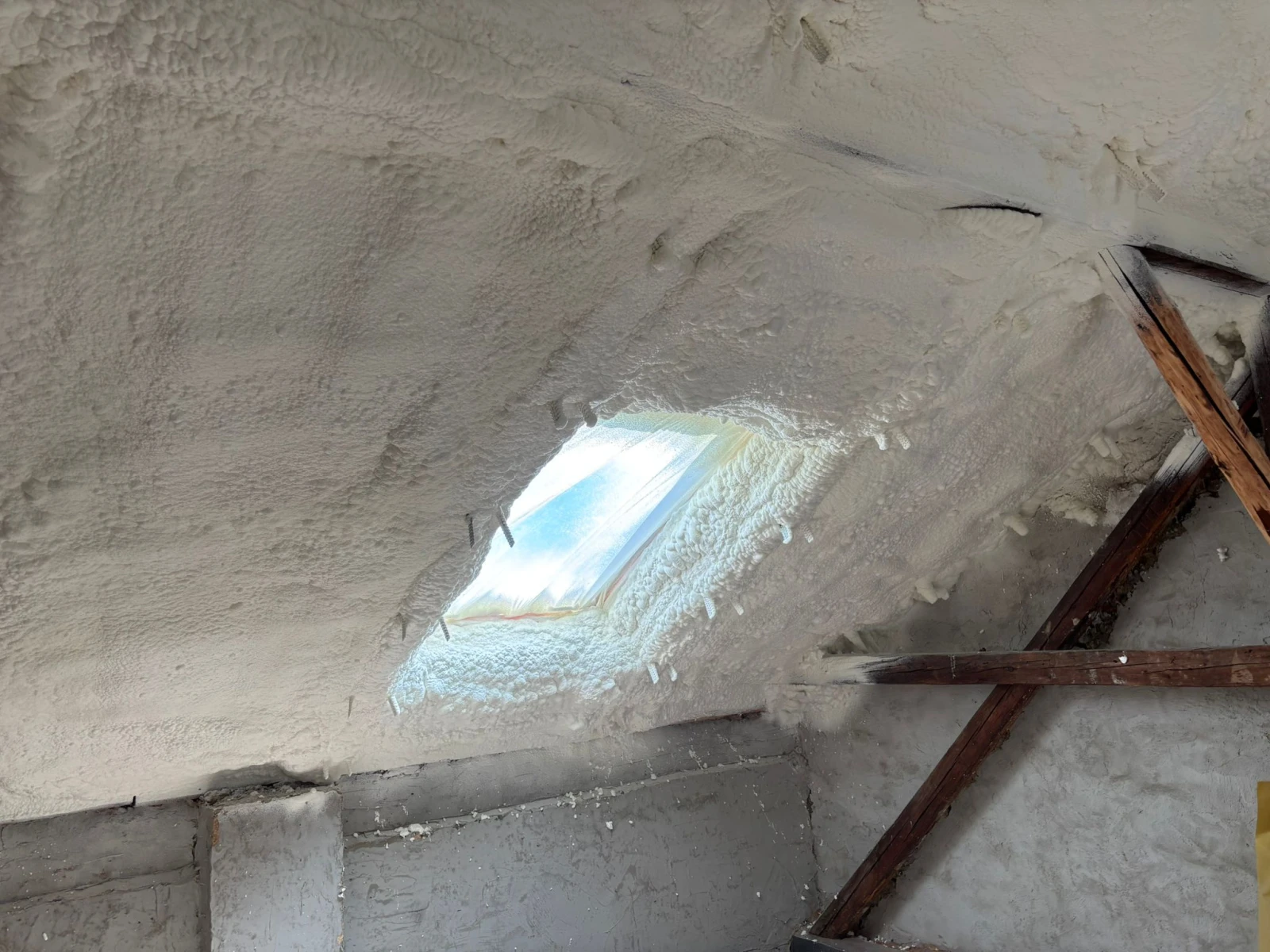 Piana PUR Andrychów