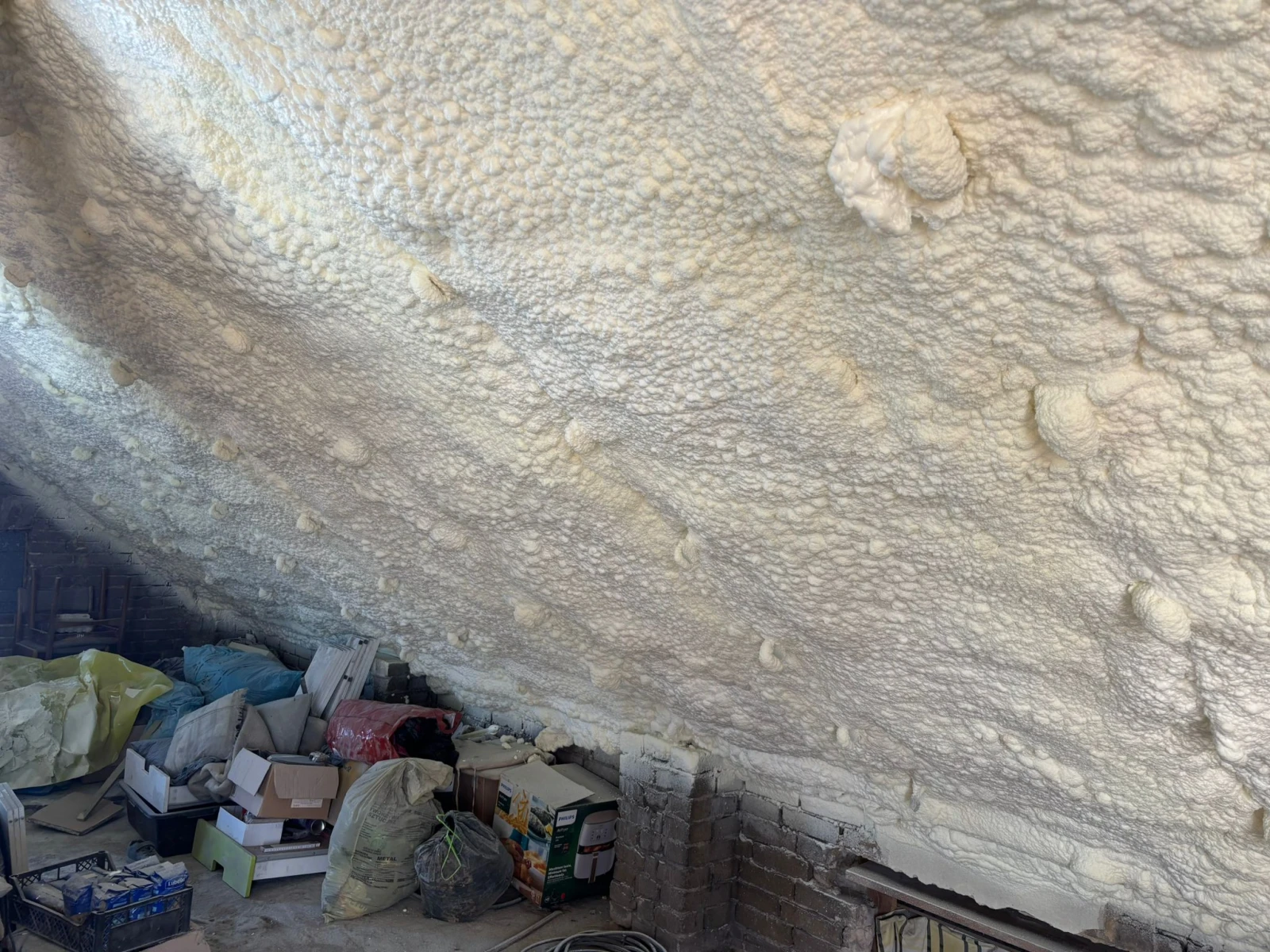 piana pur - sliwa bud